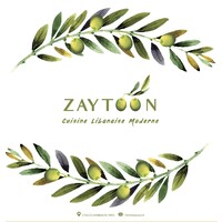 Zaytoon logo, Zaytoon contact details