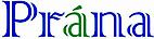 Prana Technologies logo, Prana Technologies contact details