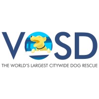 The Voice of Stray Dogs (VOSD) logo, The Voice of Stray Dogs (VOSD) contact details