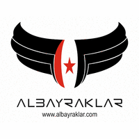 ALBAYRAKLAR ŞİRKETLER GRUBU logo, ALBAYRAKLAR ŞİRKETLER GRUBU contact details