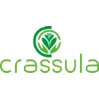 Crassula Group logo, Crassula Group contact details