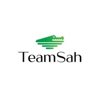 Teamsah Digital Marketing Agency logo, Teamsah Digital Marketing Agency contact details