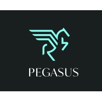 Pegasus Global logo, Pegasus Global contact details