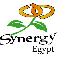 Synergy Egypt - سينرجي مصر logo, Synergy Egypt - سينرجي مصر contact details