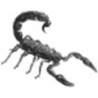 Scorpion Risks logo, Scorpion Risks contact details