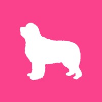 MaxCare Pets logo, MaxCare Pets contact details