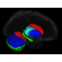 Brain Image Analysis, LLC logo, Brain Image Analysis, LLC contact details