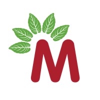 Mullein Pharmacy logo, Mullein Pharmacy contact details