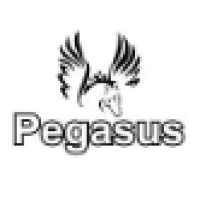 Pegasus Technology Inc logo, Pegasus Technology Inc contact details