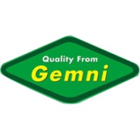 Gemni International logo, Gemni International contact details