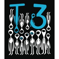 T3 Entertainers LLC logo, T3 Entertainers LLC contact details