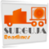 Surguja Roadlines logo, Surguja Roadlines contact details