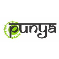 Punya Systems Pvt Ltd logo, Punya Systems Pvt Ltd contact details