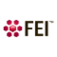 FEI Visualization Sciences Group logo, FEI Visualization Sciences Group contact details