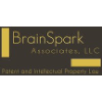 BrainSpark Associates, LLC logo, BrainSpark Associates, LLC contact details