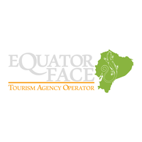 EQUATOR FACE TRAVEL logo, EQUATOR FACE TRAVEL contact details