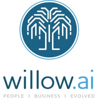 Willow.ai logo, Willow.ai contact details