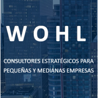 WOHL CONSULTORES logo, WOHL CONSULTORES contact details