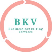 BKV Consulting logo, BKV Consulting contact details