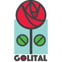 Golital logo, Golital contact details