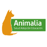 Animalia UC logo, Animalia UC contact details