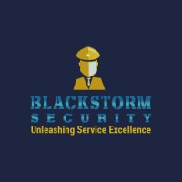 Black Storm Security logo, Black Storm Security contact details