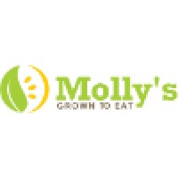 Molly's Salads logo, Molly's Salads contact details