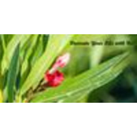 Peace River Growers logo, Peace River Growers contact details