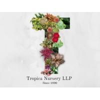 Tropica Nursery LLP logo, Tropica Nursery LLP contact details