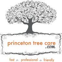 Princeton Tree Care logo, Princeton Tree Care contact details