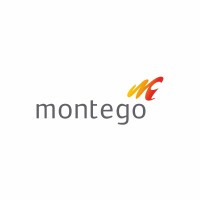 Montego Holdings logo, Montego Holdings contact details