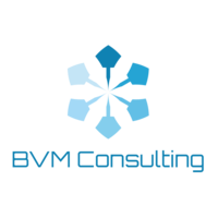 BVM Consulting, LLC logo, BVM Consulting, LLC contact details