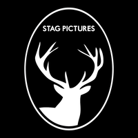 Stag Pictures logo, Stag Pictures contact details