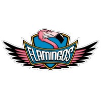 Flamingos Touch Football Association logo, Flamingos Touch Football Association contact details