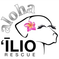 ALOHA ILIO RESCUE logo, ALOHA ILIO RESCUE contact details