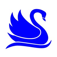 SWAN Financial Services logo, SWAN Financial Services contact details