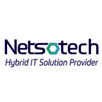 Netso LLC logo, Netso LLC contact details