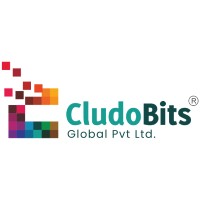 CludoBits Global Pvt. Ltd. logo, CludoBits Global Pvt. Ltd. contact details