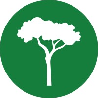 International Tree Foundation logo, International Tree Foundation contact details