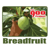 The 900 Project logo, The 900 Project contact details