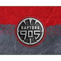 Raptors 905 logo, Raptors 905 contact details