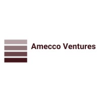 Amecco Ventures Ltd logo, Amecco Ventures Ltd contact details