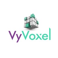 VyVoxel logo, VyVoxel contact details