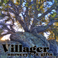 Villager Nursery, Inc logo, Villager Nursery, Inc contact details