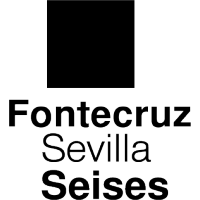 Hotel Fontecruz Sevilla Seises logo, Hotel Fontecruz Sevilla Seises contact details