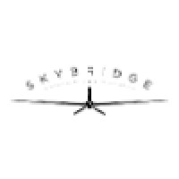 SkyBridge Holdings LLC logo, SkyBridge Holdings LLC contact details