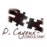 CP CONSULTANT logo, CP CONSULTANT contact details