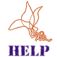 HELP Organisation logo, HELP Organisation contact details