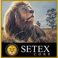 SETEX CORP. S.A. logo, SETEX CORP. S.A. contact details