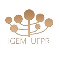 iGem UFPR logo, iGem UFPR contact details